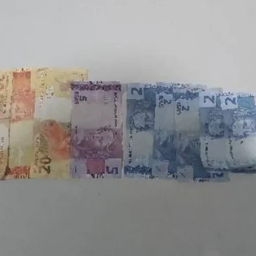 Homem rouba motorista de ônibus, foge por córrego e é atacado por pitbulls ao invadir quintal