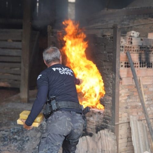 Governo de RO incinera mais de 700 quilos de drogas apreendidas pelo Departamento de Narcóticos em 2024