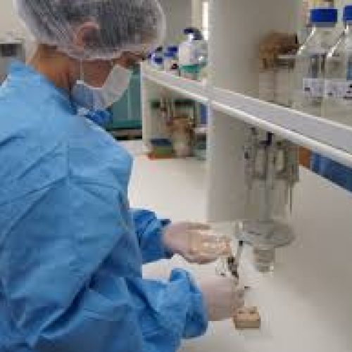 Governo de RO lançará maior programa de pesquisa em saúde da história com investimento recorde de R$ 4 milhões