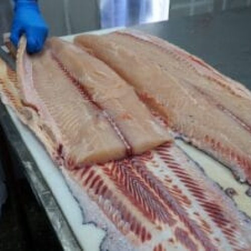 Ipem orienta população sobre cuidados na compra de pescados e ovos de Páscoa