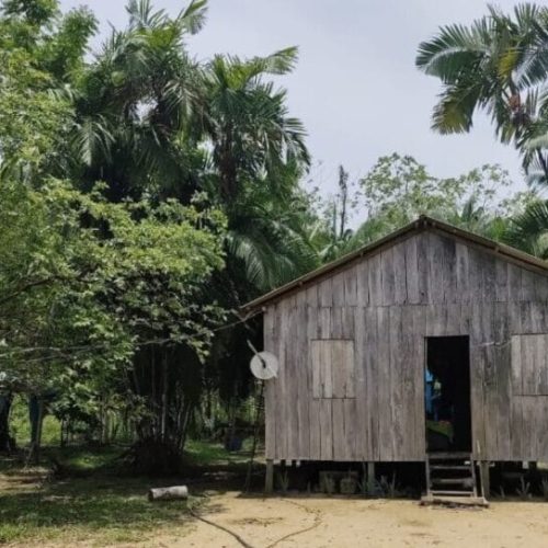 Governo de RO realiza levantamento para promover equilíbrio ambiental em Reserva Sustentável