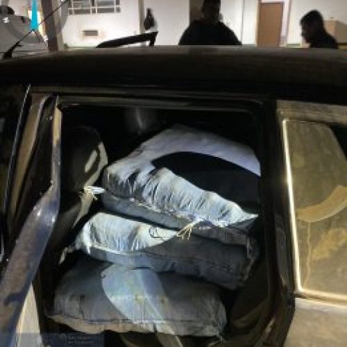 Forças de segurança apreendem cerca de 170 quilos de maconha no interior de Rondônia