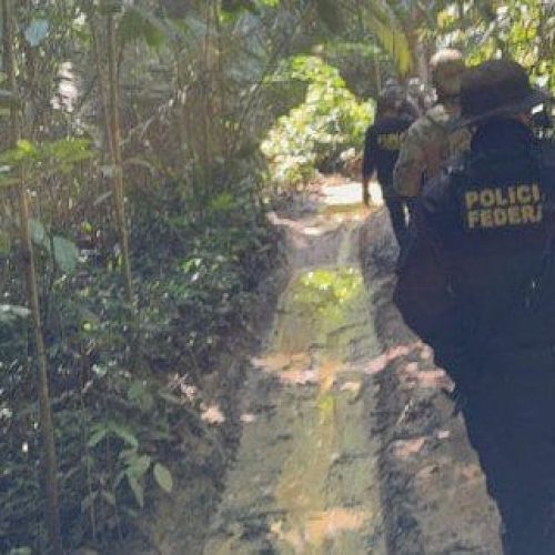 PF e PM realizam operação em reserva índigena e flagram exploração ilegal de madeira