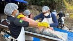 Primeira edição da pesca manejada em 2025 retira 160 pirarucus do Rio Cautário e gera mais de R$ 90 mil em renda comunitária