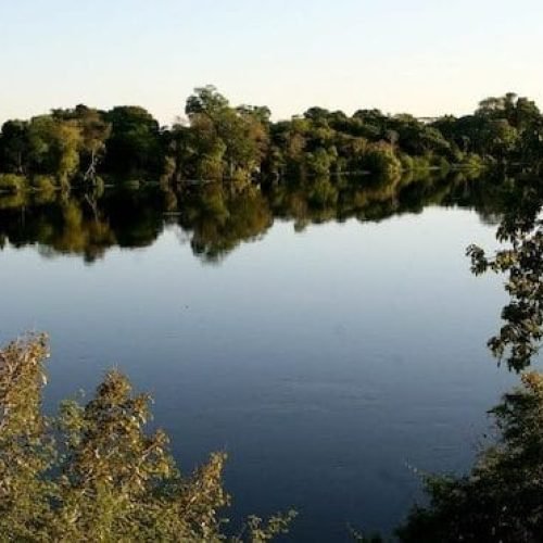 Assembleia Legislativa de Rondônia celebra Dia do Meio Ambiente