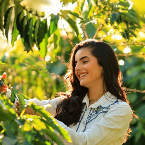 Emilly Maria Vieira Benedito, 24 anos e candidata ao Miss Brasil Café 2027 — Foto: Maycon Oliveira