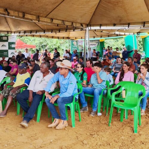 Tecnologia, manejo eficiente e assistência técnica elevam o padrão da cafeicultura em Rondônia