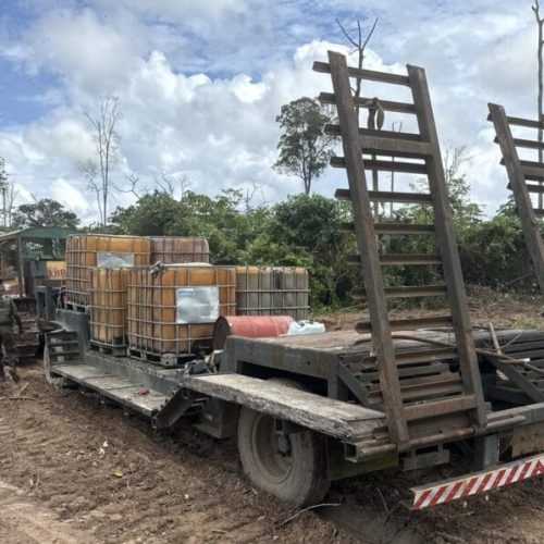 Governo de RO aplica mais de R$ 37 milhões em multas por ilícitos ambientais em nova fase da “Operação Hileia”