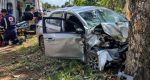 Motorista fica gravemente ferido após perder o controle e colidir contra árvore em RO