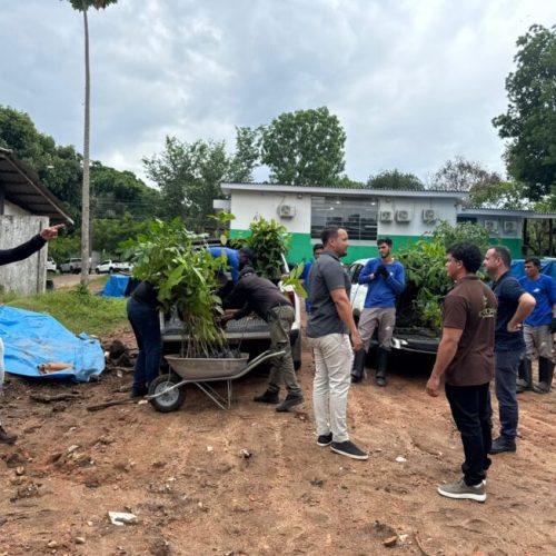 Viveiro de produção de mudas nativas fortalece recomposição florestal e impulsiona recuperação ambiental em Rondônia