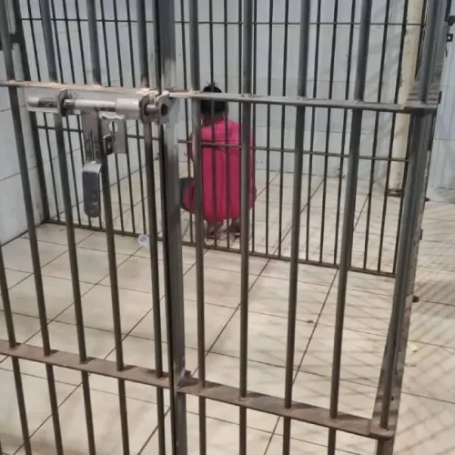 Mulher é presa em flagrante ao tentar entrar com drogas em presídio de Porto Velho