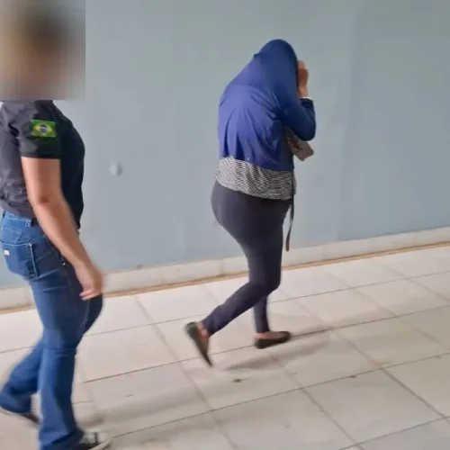 Mulher é presa por tentar levar drogas ao Urso Panda