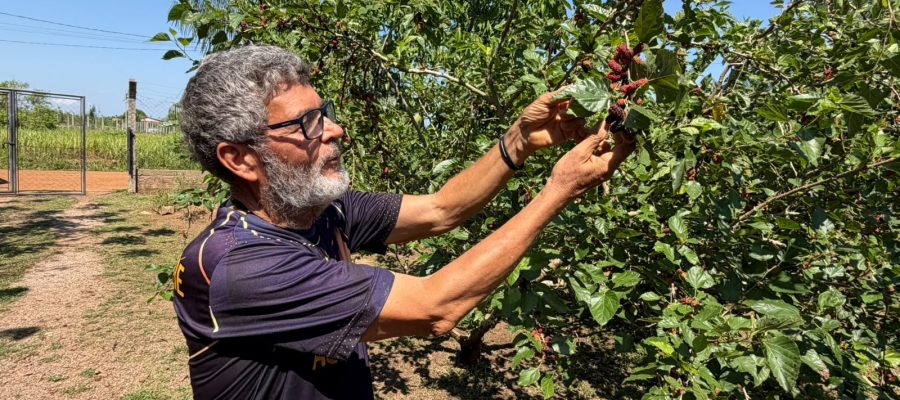 Porto Velho, uma capital que cresce de mãos dadas com o campo