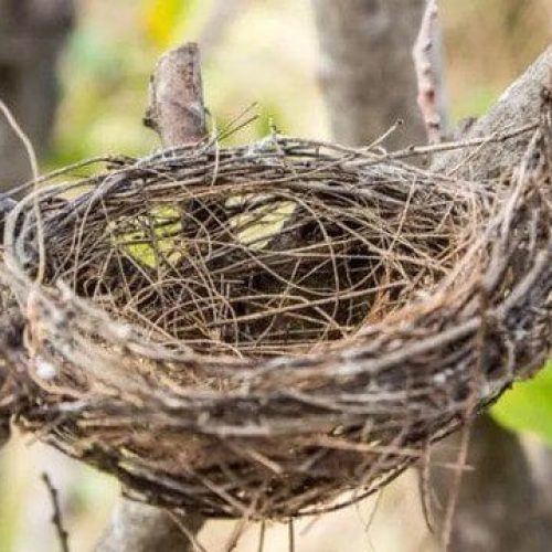 ‘Síndrome do ninho vazio’: mãe conta como foi lidar com a saída da filha de casa em RO