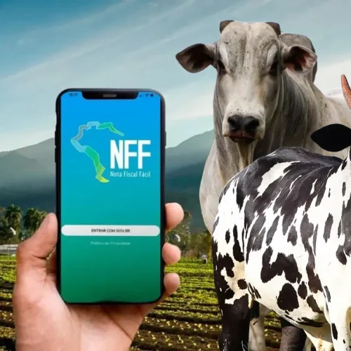 Nota Fiscal Eletrônica (NF-e) será obrigatória para produtores rurais
