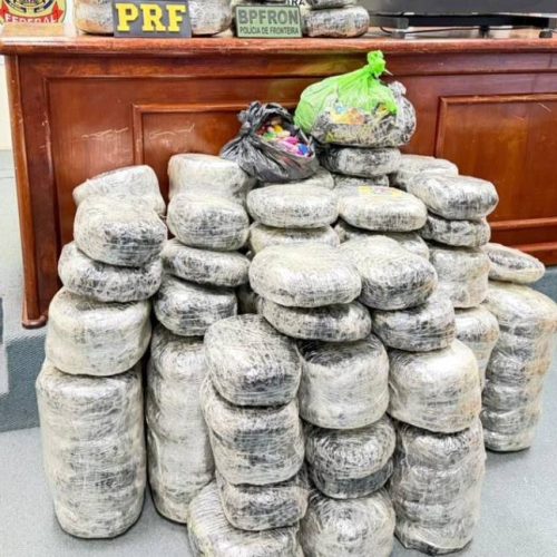 Operação conjunta apreende 173 kg de maconha em São Miguel do Guaporé