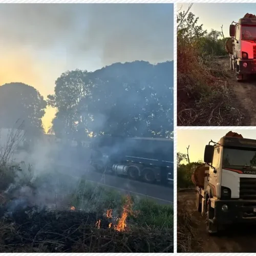 Operação Sentinelas da Amazônia 2025 flagra transporte ilegal de madeira em área protegida em Rondônia