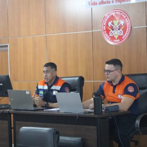 Comitê Estadual de Prevenção e Combate a Incêndio Florestal debate atuação e integração com instituições