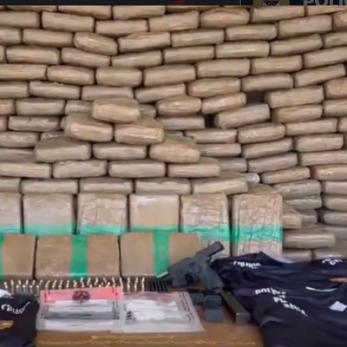 POLÍCIA CIVIL APREENDE CERCA DE 300 QUILOS DE ENTORPECENTE E ARMA DE FOGO EM PORTO VELHO