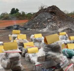 Polícia Civil de Rondônia incinera mais de 645 quilos de drogas apreendidas