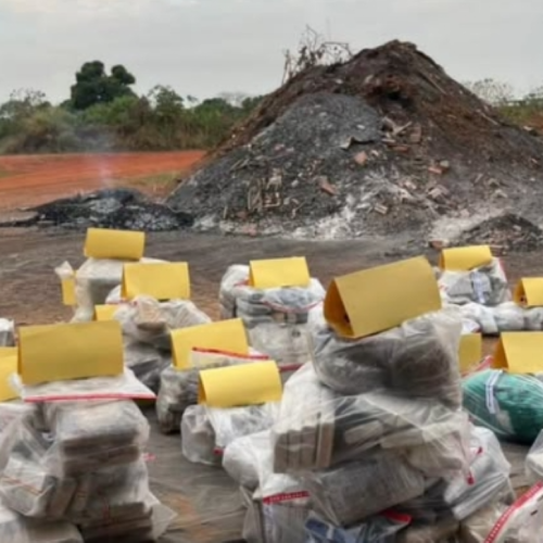 Polícia Civil de Rondônia incinera mais de 645 quilos de drogas apreendidas