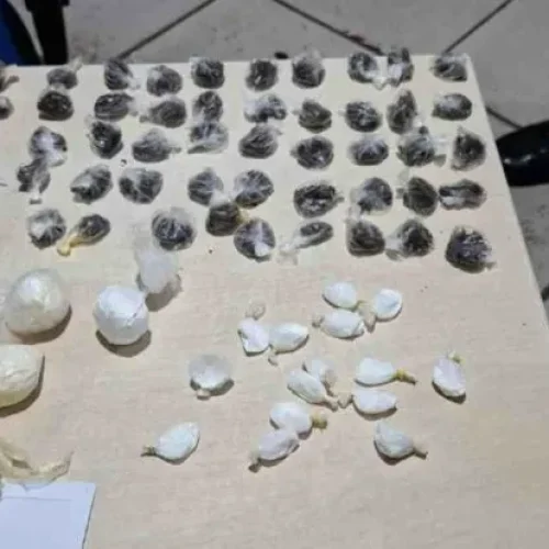 “Pequeno” é flagrado com cerca de 80 porções de drogas no Urso Panda