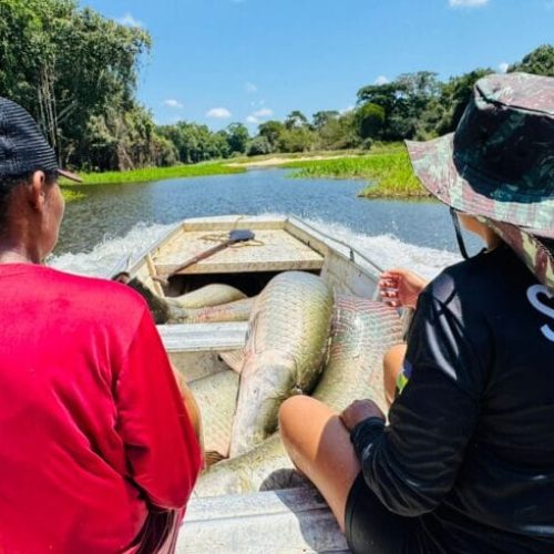 Segunda etapa da pesca manejada 2025 envolve comunidade e retira mais de 2,5 toneladas de peixes do Rio Cautário