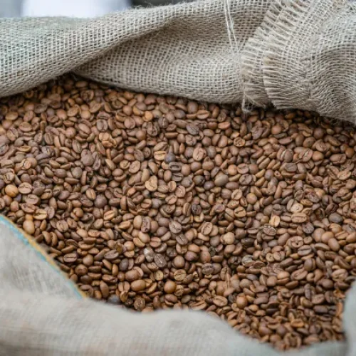 Divulgação / Pexels