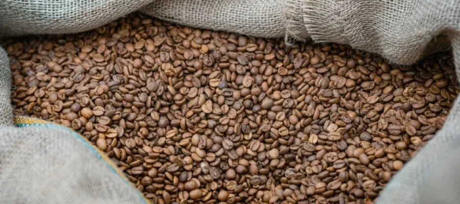 Divulgação / Pexels