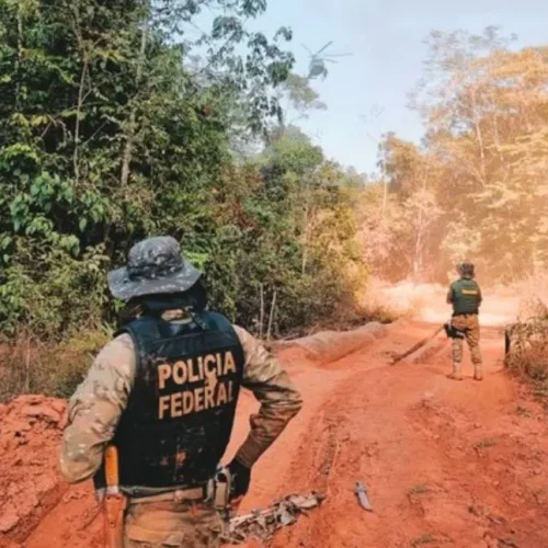 PF deflagra operação contra transporte ilegal de ouro em Rondônia