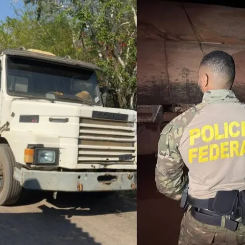 PF faz prisões por transporte ilegal de madeira