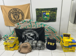 PF, PRF e PM apreendem cerca de 390 kg de drogas e prendem dois suspeitos