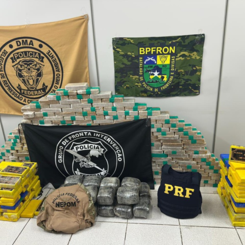 PF, PRF e PM apreendem cerca de 390 kg de drogas e prendem dois suspeitos