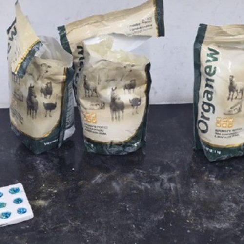 PF combate o tráfico interestadual de cocaína por via postal em Rondônia