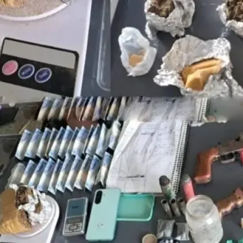 Polícia apreende armas e drogas em operação em RO