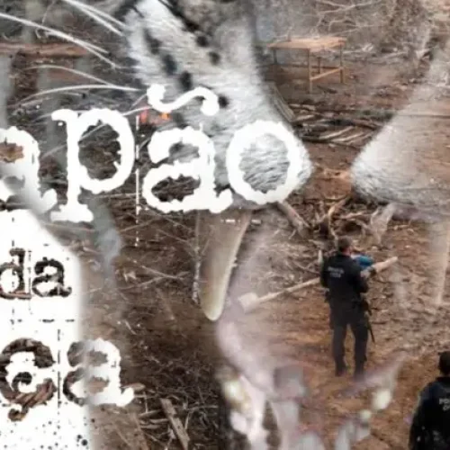Polícia Civil deflagra Operação Capão da Onça contra grupo criminoso em Rondônia