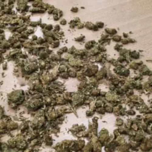 Polícia Civil prende três pessoas em operação contra o tráfico em Ji-Paraná