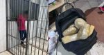 PRF apreende 17,6 kg de drogas após perseguição na BR-364