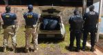 PRF e PM apreendem mais de 160 quilos de skunk em Seringueiras