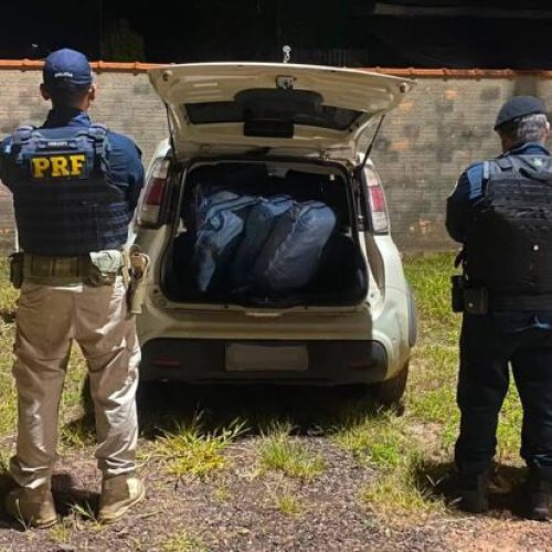 PRF e PM apreendem mais de 160 quilos de skunk em Seringueiras