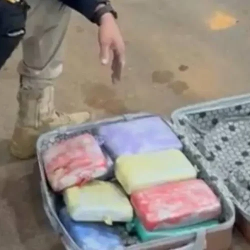 PRF em Rondônia apreende cerca de 11 kg de skunk em ônibus na BR-364