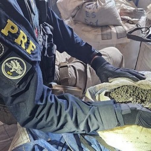 Operação Arco Verde II: Polícia faz a apreensão de 31,5 toneladas de minérios