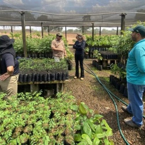 Projeto de preservação ambiental apoiado pelo governo de RO conquista o Prêmio Innovare 2024