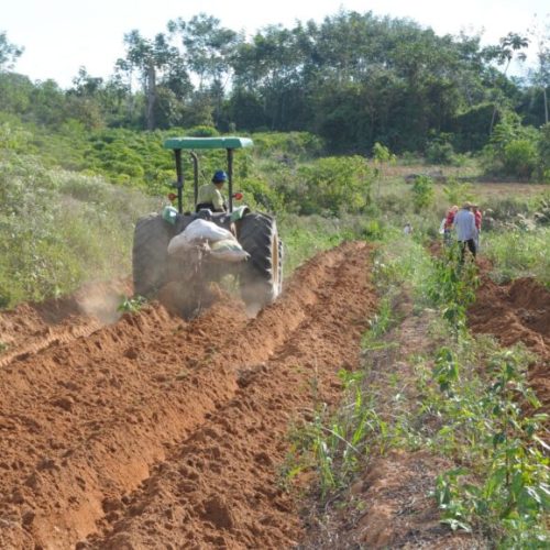 Dia do Agronegócio: governo de RO destaca força do homem do campo e celebra setor que impulsiona a agricultura rural
