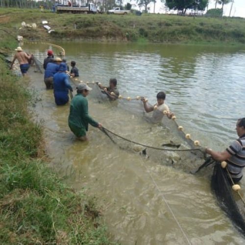 Com financiamento do governo de RO, projeto inovador do programa Centelha é destaque em artigo publicado