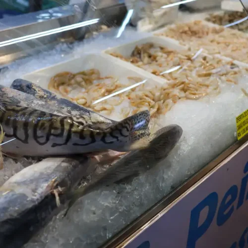 © Fabio Rodrigues-Pozzebom/ Agência Brasil