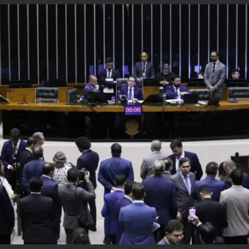 Quatro dos oito deputados federais de Rondônia votaram a favor do “PL da Devastação”, que fragiliza a legislação ambiental