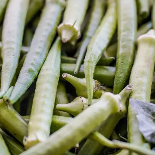 © Rafa Neddermeyer/Agência Brasil
