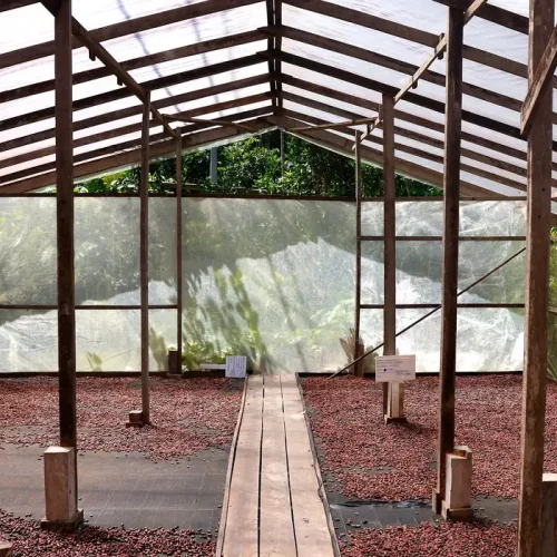 © Tânia Rêgo/Agência Brasil