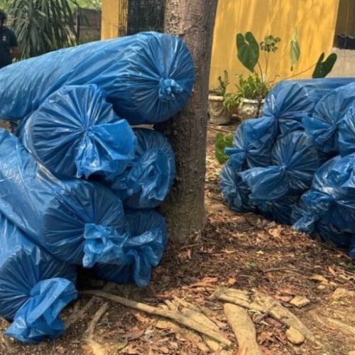 Projeto de recuperação das nascentes do Rio Pirarara reforça combate à crise hídrica em Rondônia